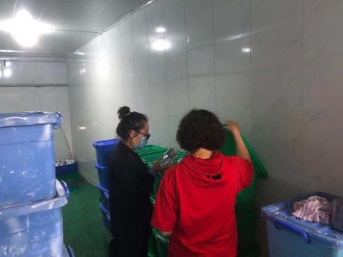 筑牢餐饮安全防线 市卫健委开展餐饮具集中消毒服务单位专项检查