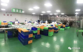 邓州突击检查曝光 一次性餐具清洁现场触目惊心